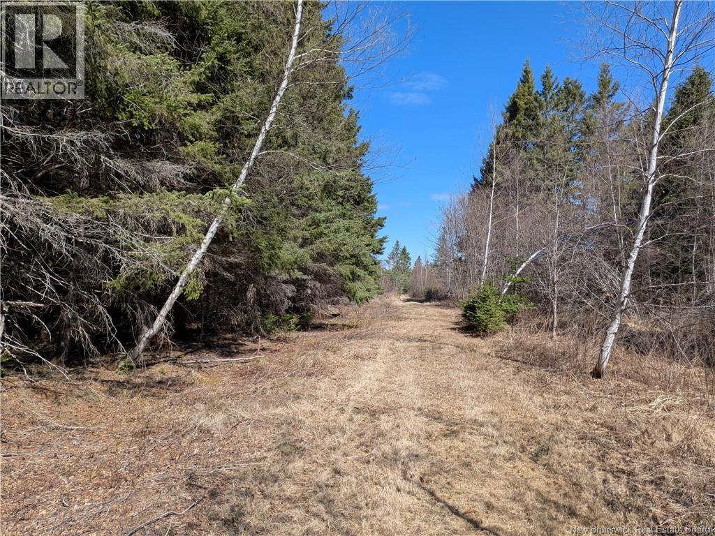 00 South Barnaby Road, Barnaby, New Brunswick  E1N 6G2 - Photo 13 - NB145527