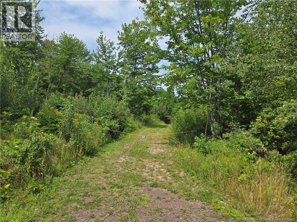 Lot Gerard, Saint-Antoine, New Brunswick  E4V 1A8 - Photo 4 - NB145633
