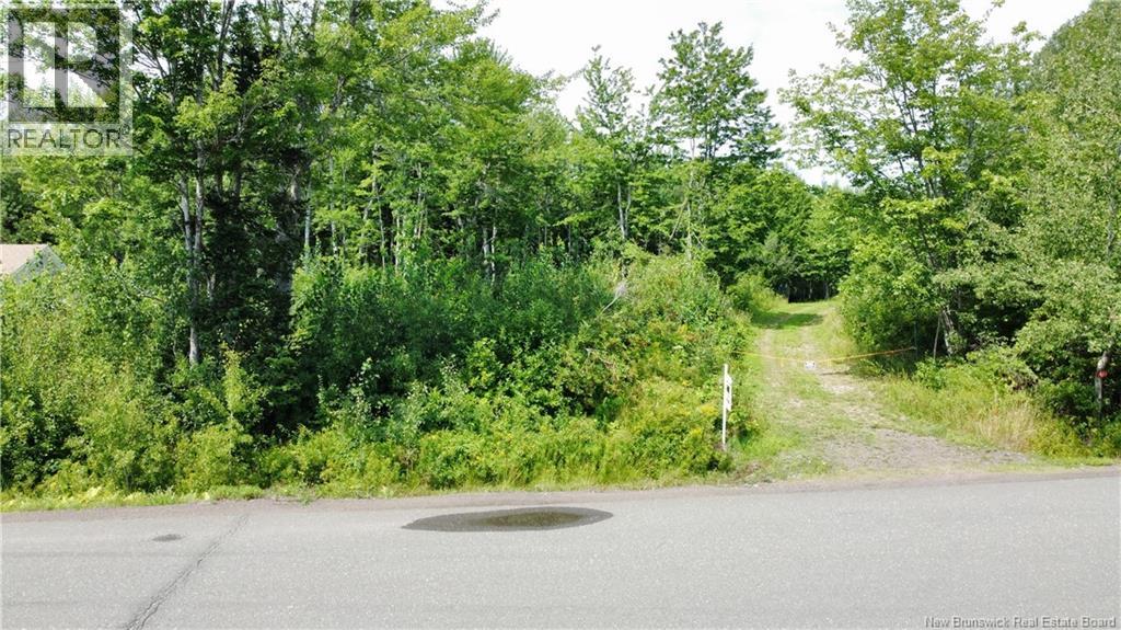 Lot Gerard, Saint-Antoine, New Brunswick  E4V 1A8 - Photo 5 - NB145633