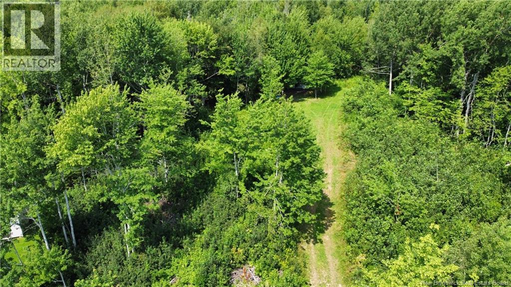 Lot Gerard, Saint-Antoine, New Brunswick  E4V 1A8 - Photo 7 - NB145633