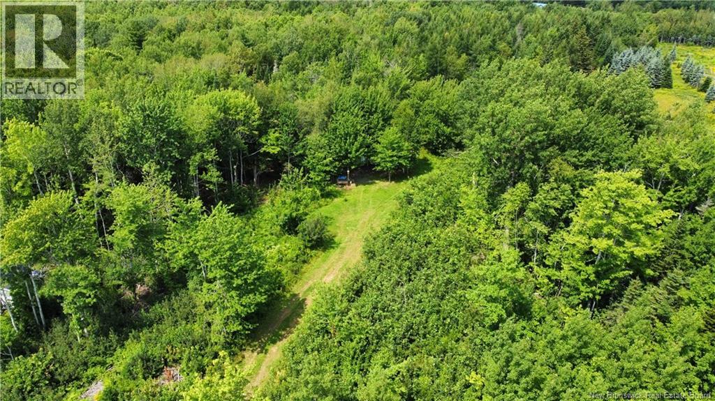 Lot Gerard, Saint-Antoine, New Brunswick  E4V 1A8 - Photo 9 - NB145633