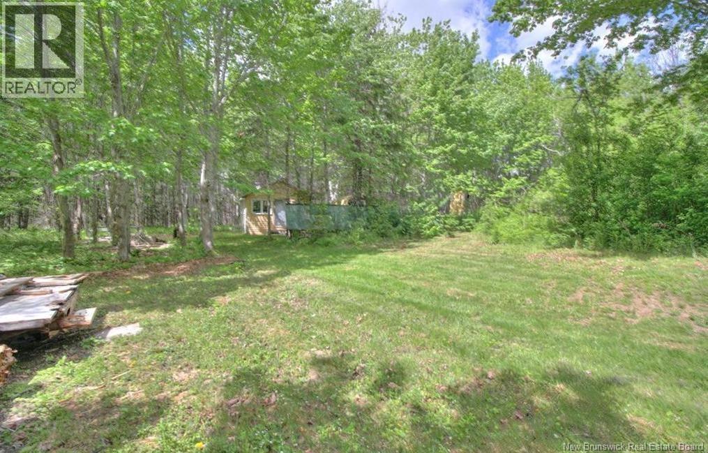 Lot Route 490, Fords Mills, New Brunswick  E4W 3R9 - Photo 7 - NB145664