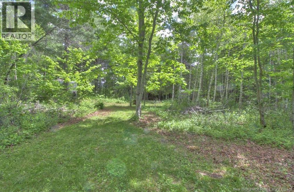 Lot Route 490, Fords Mills, New Brunswick  E4W 3R9 - Photo 8 - NB145664