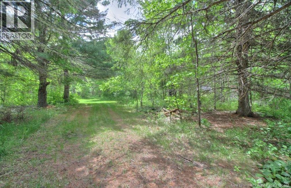 Lot Route 490, Fords Mills, New Brunswick  E4W 3R9 - Photo 9 - NB145664