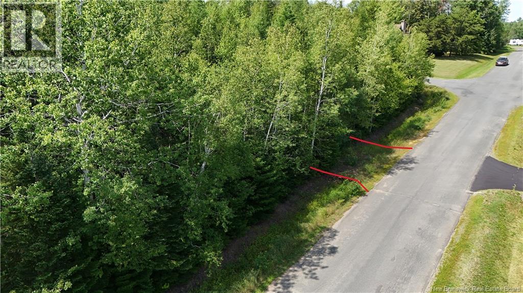 441 Petrie Avenue, North Tetagouche, New Brunswick  E2A 4Y9 - Photo 4 - NB145702