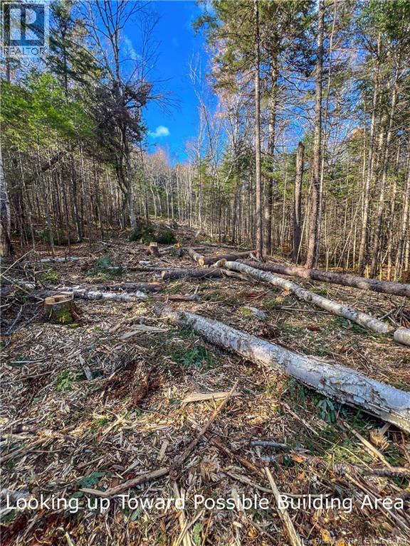 Land Chamcook Lake No 1, Chamcook, New Brunswick  E5B 2Z4 - Photo 11 - NB145811