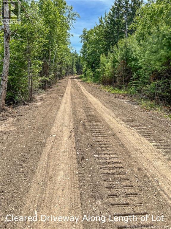 Land Chamcook Lake No 1, Chamcook, New Brunswick  E5B 2Z4 - Photo 12 - NB145811