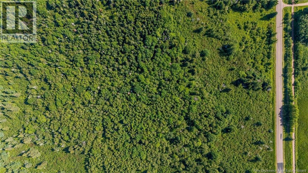 Lot Route 970, Baie Verte, New Brunswick  E4M 1N3 - Photo 10 - NB145804