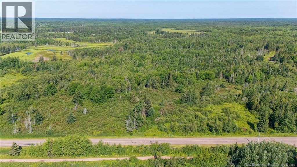 Lot Route 970, Baie Verte, New Brunswick  E4M 1N3 - Photo 12 - NB145804