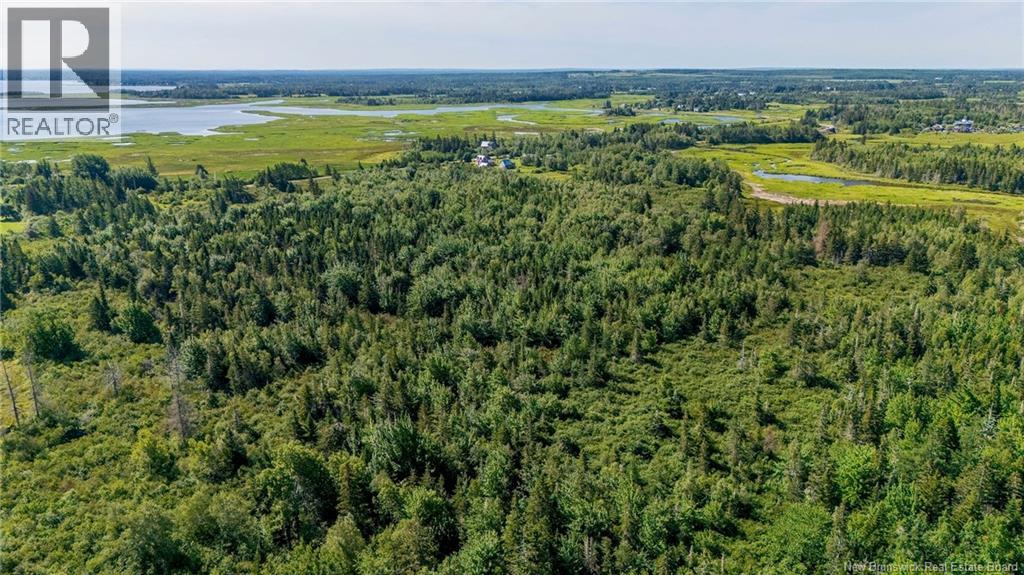 Lot Route 970, Baie Verte, New Brunswick  E4M 1N3 - Photo 15 - NB145804