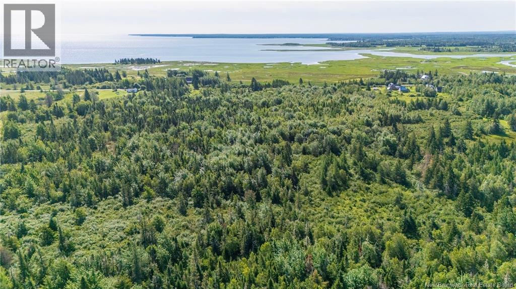 Lot Route 970, Baie Verte, New Brunswick  E4M 1N3 - Photo 16 - NB145804