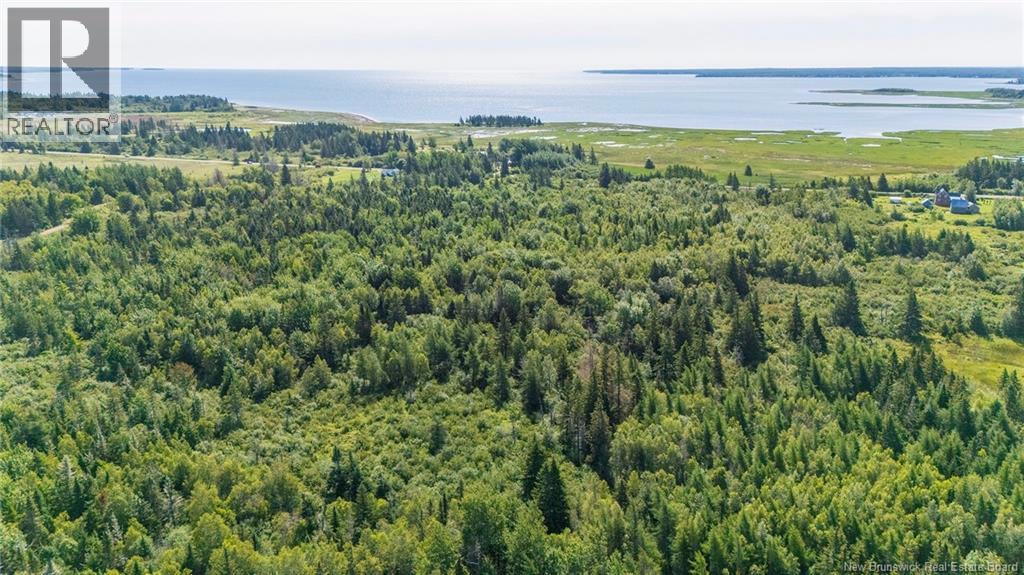 Lot Route 970, Baie Verte, New Brunswick  E4M 1N3 - Photo 17 - NB145804