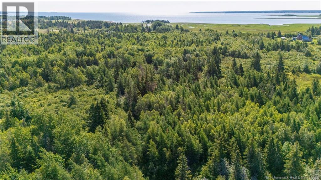 Lot Route 970, Baie Verte, New Brunswick  E4M 1N3 - Photo 18 - NB145804
