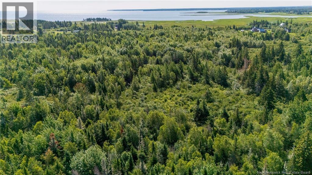 Lot Route 970, Baie Verte, New Brunswick  E4M 1N3 - Photo 19 - NB145804