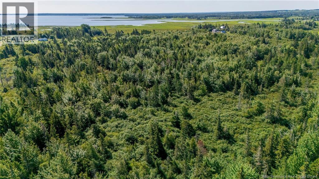 Lot Route 970, Baie Verte, New Brunswick  E4M 1N3 - Photo 20 - NB145804