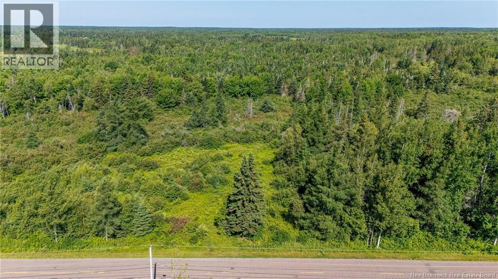 Lot Route 970, Baie Verte, New Brunswick  E4M 1N3 - Photo 22 - NB145804