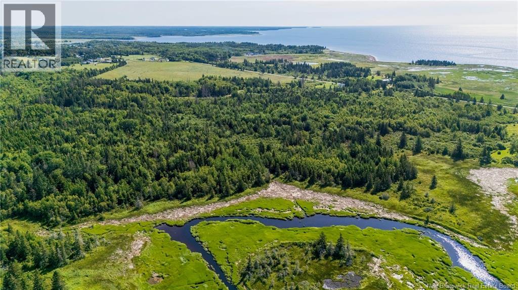 Lot Route 970, Baie Verte, New Brunswick  E4M 1N3 - Photo 5 - NB145804