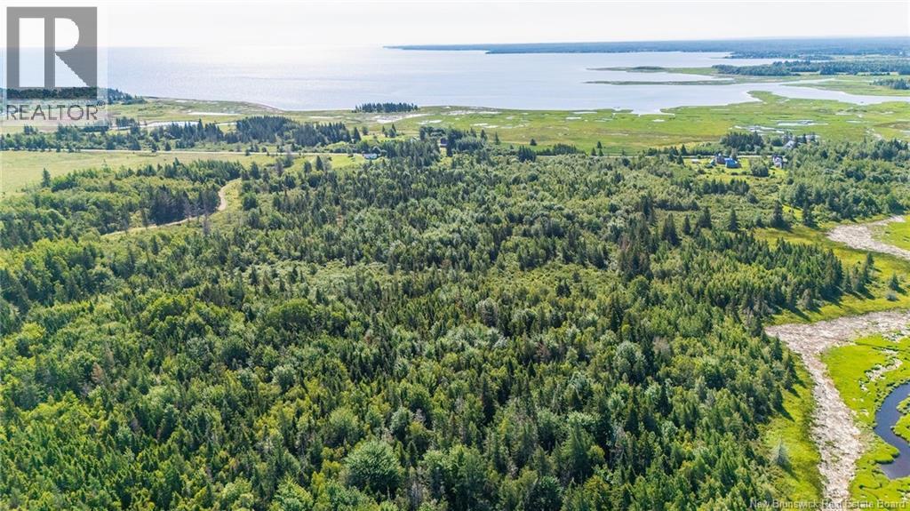 Lot Route 970, Baie Verte, New Brunswick  E4M 1N3 - Photo 6 - NB145804