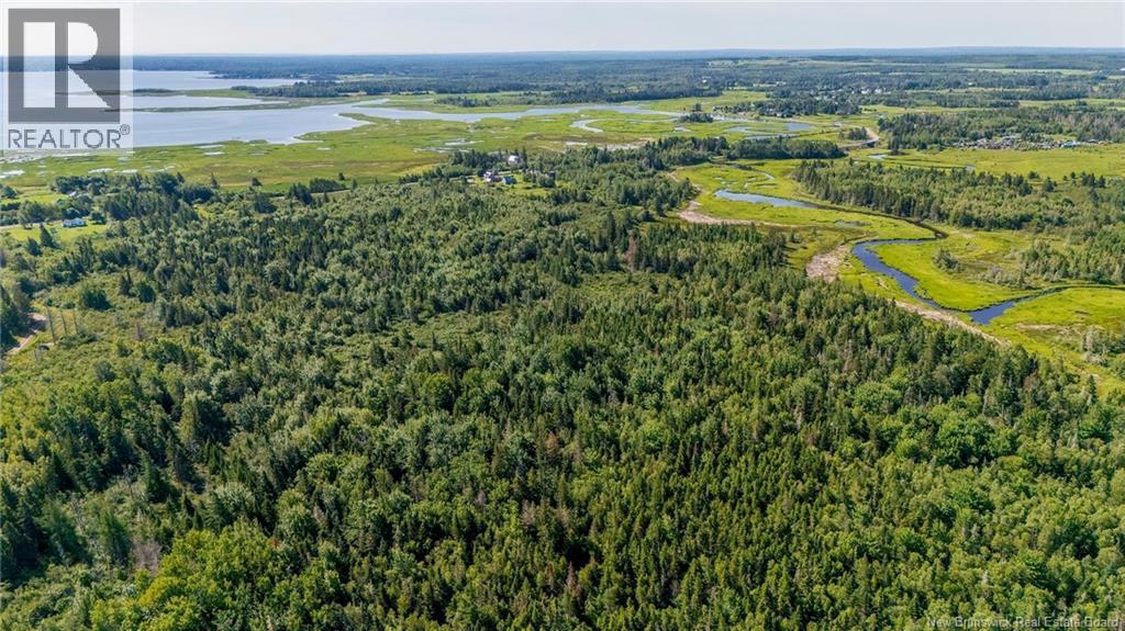 Lot Route 970, Baie Verte, New Brunswick  E4M 1N3 - Photo 7 - NB145804