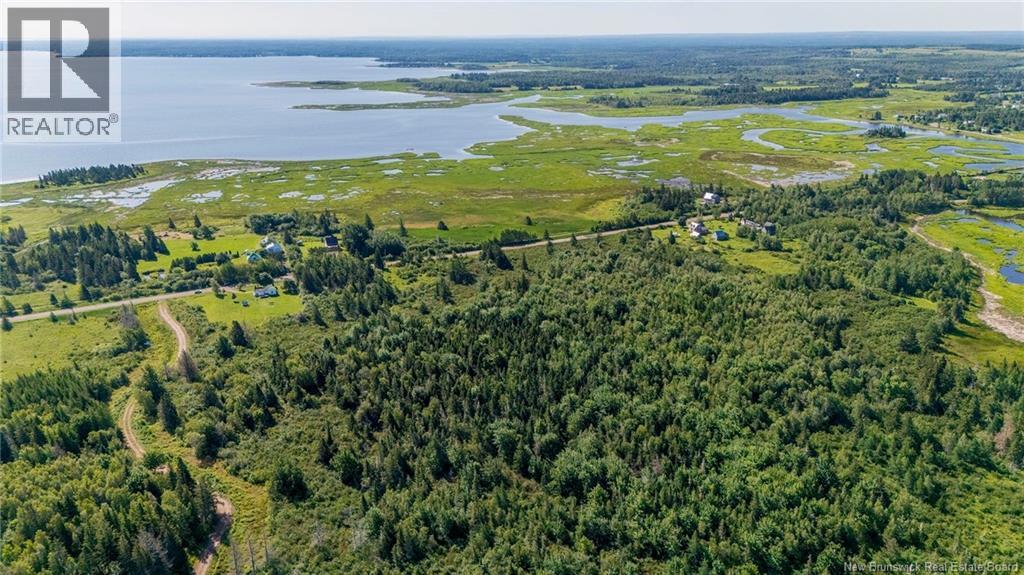 Lot Route 970, Baie Verte, New Brunswick  E4M 1N3 - Photo 8 - NB145804