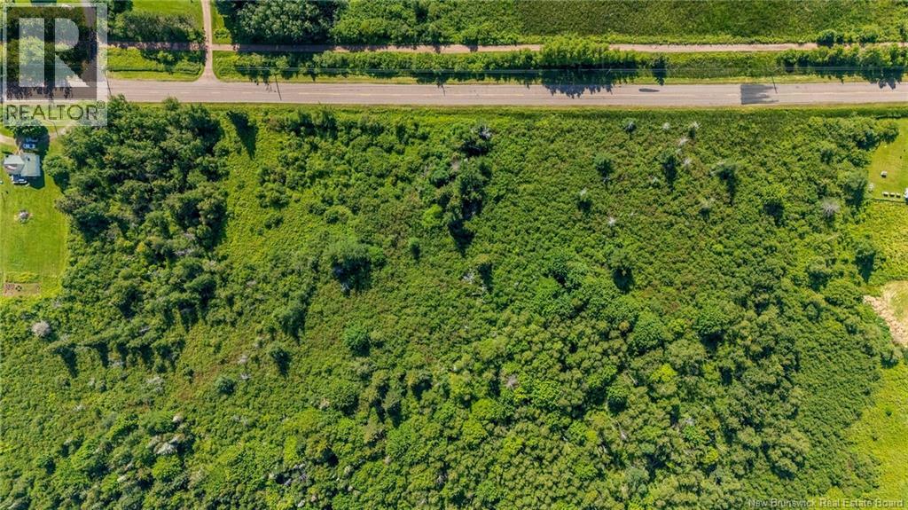 Lot Route 970, Baie Verte, New Brunswick  E4M 1N3 - Photo 9 - NB145804