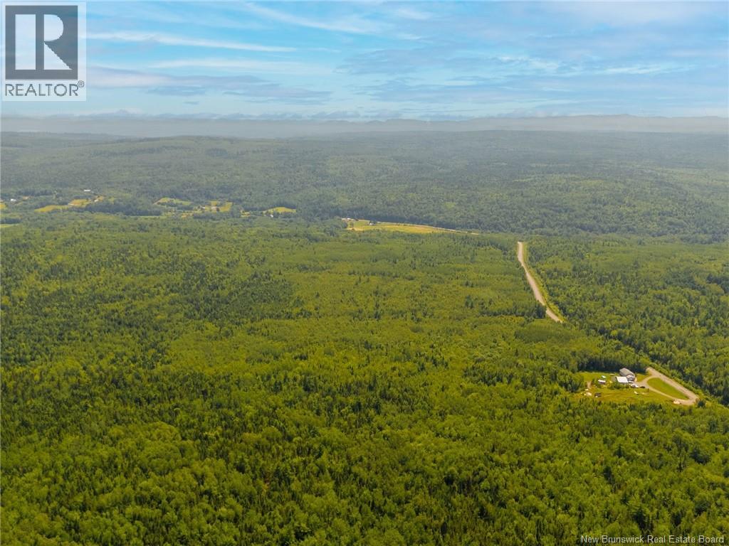 Lot C Elm Hill Road, Pleasant Villa, New Brunswick E5M 1X9 - Photo 4 - NB145678