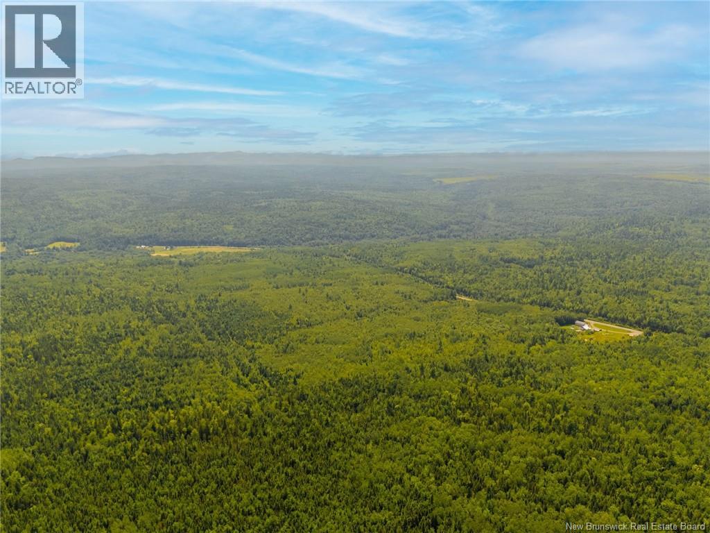 Lot C Elm Hill Road, Pleasant Villa, New Brunswick E5M 1X9 - Photo 5 - NB145678