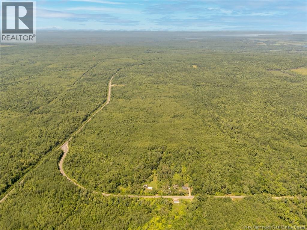 Lot C Elm Hill Road, Pleasant Villa, New Brunswick E5M 1X9 - Photo 6 - NB145678