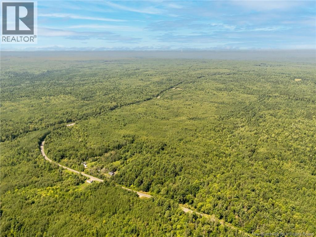 Lot C Elm Hill Road, Pleasant Villa, New Brunswick E5M 1X9 - Photo 7 - NB145678