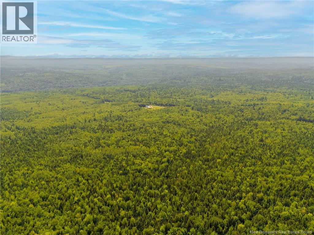 Lot A Route 102, Pleasant Villa, New Brunswick  E5M 1X9 - Photo 6 - NB145674