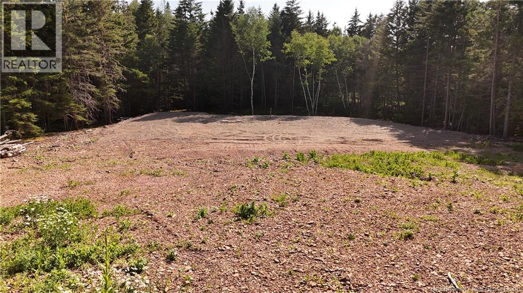 Lot 0 Shore Road, Breadalbane, New Brunswick  E5C 1P2 - Photo 8 - NB145833