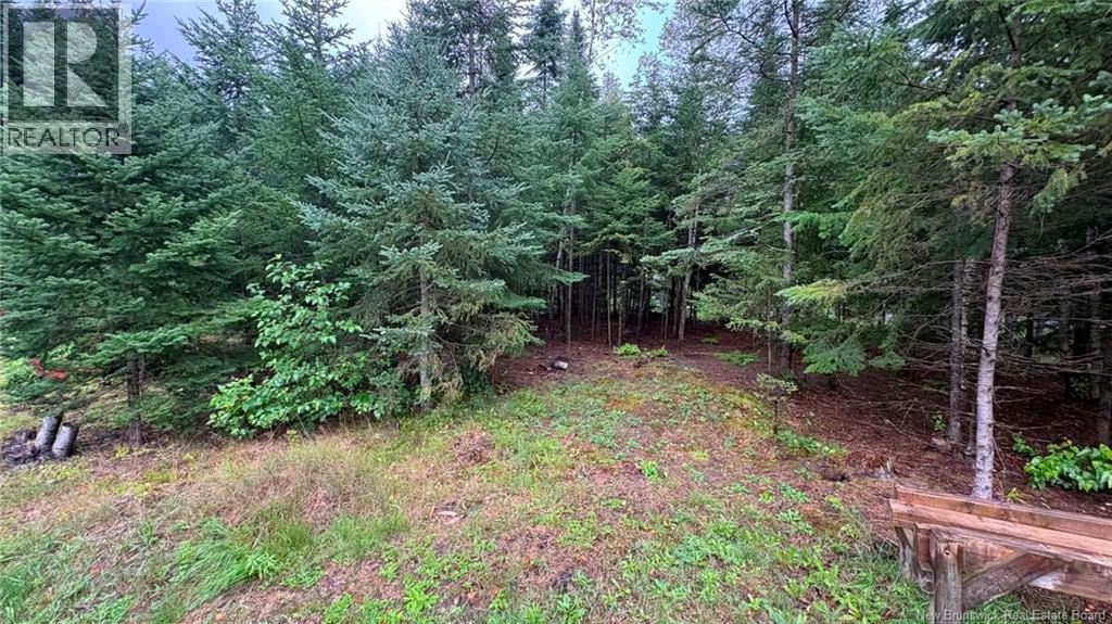 Lot Du Parc Road, Shediac River, New Brunswick  E4R 1H2 - Photo 4 - NB145550