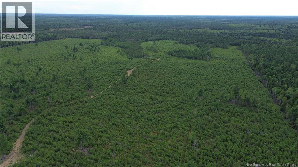 10035 Route 11, Redmondville, New Brunswick  E1N 5C6 - Photo 19 - NB145901