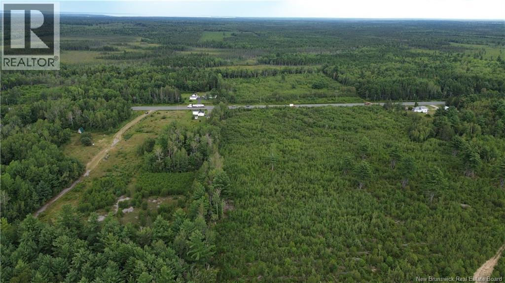 10035 Route 11, Redmondville, New Brunswick  E1N 5C6 - Photo 21 - NB145901