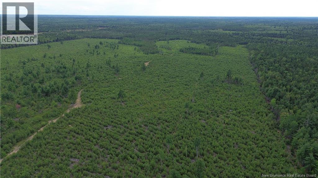 10035 Route 11, Redmondville, New Brunswick  E1N 5C6 - Photo 23 - NB145901