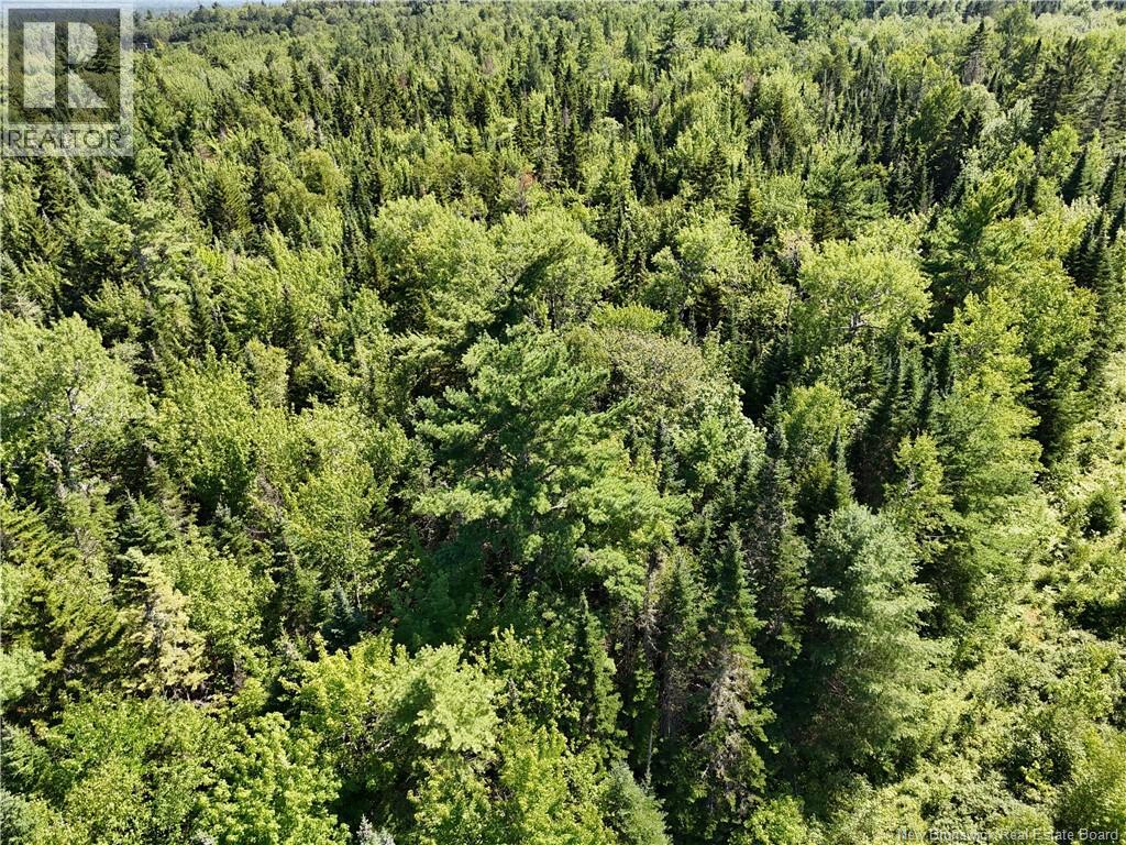 Lot Cherry Hill Road, Lower Cambridge, New Brunswick  E4C 4N3 - Photo 12 - NB145847