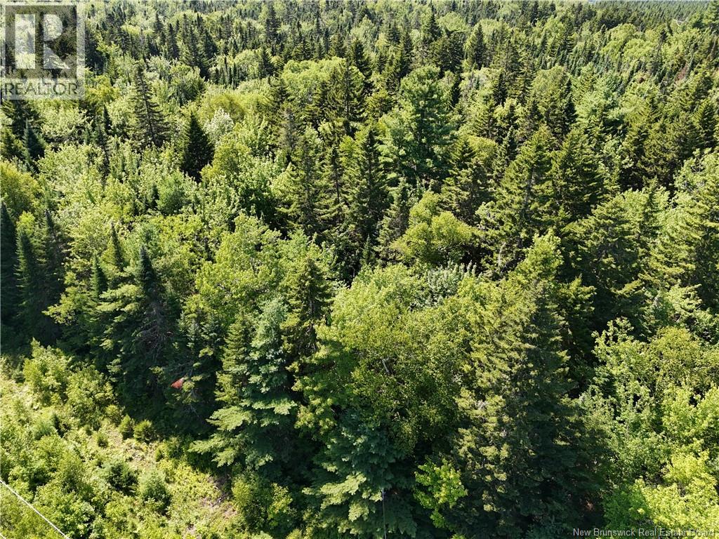 Lot Cherry Hill Road, Lower Cambridge, New Brunswick  E4C 4N3 - Photo 13 - NB145847
