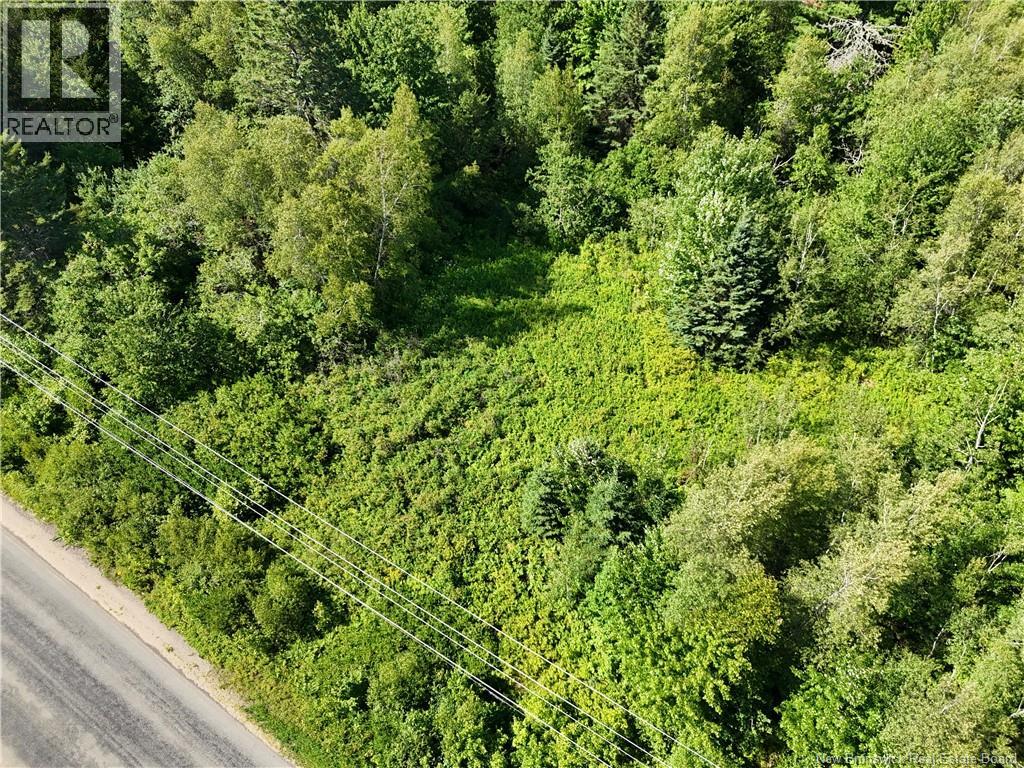 Lot Cherry Hill Road, Lower Cambridge, New Brunswick  E4C 4N3 - Photo 6 - NB145847