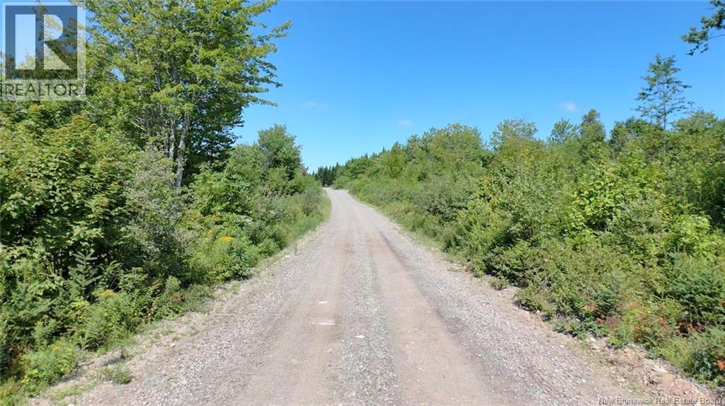 Old Gardner Creek Road, Rowley, New Brunswick  E2S 2B9 - Photo 3 - NB145780