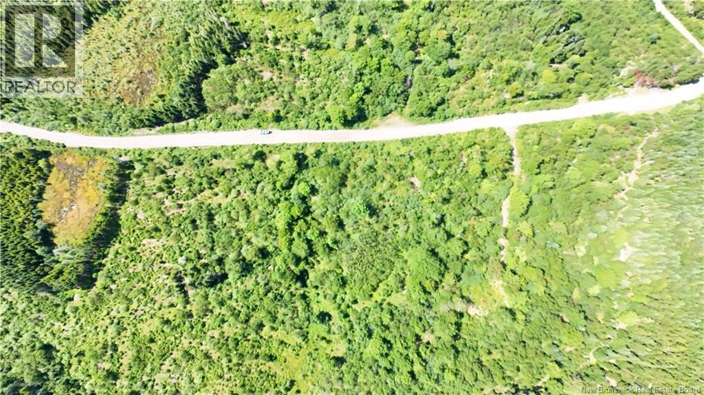 Old Gardner Creek Road, Rowley, New Brunswick  E2S 2B9 - Photo 5 - NB145780