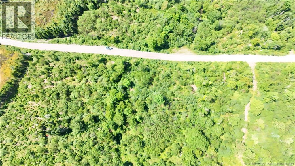 Old Gardner Creek Road, Rowley, New Brunswick  E2S 2B9 - Photo 6 - NB145780