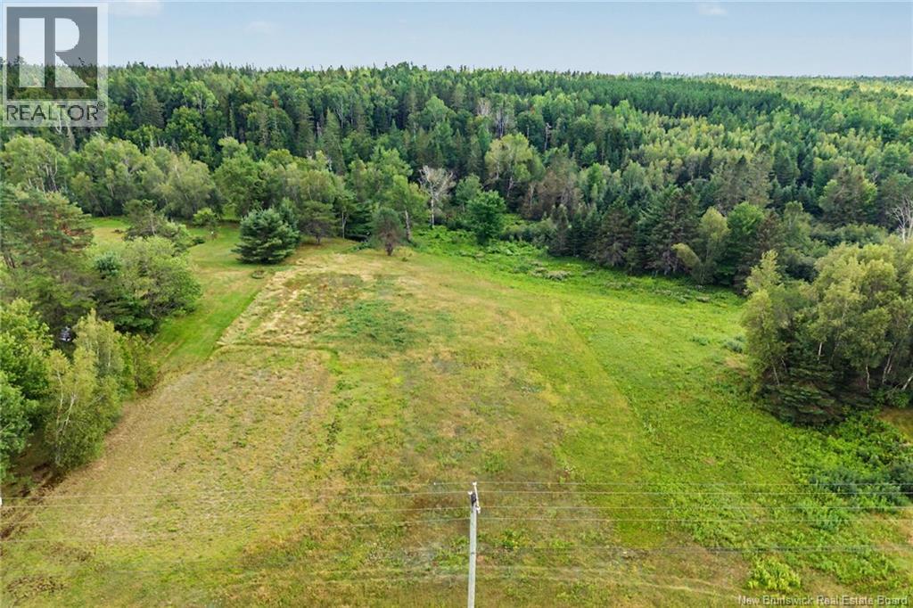 6558 Route 10, Upper Salmon Creek, New Brunswick  E4A 1E5 - Photo 39 - NB145848