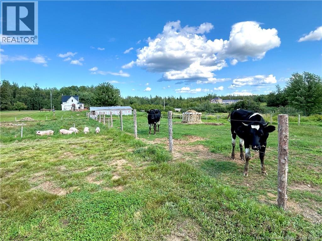 64 Ch. Lebranche, Baie-Sainte-Anne, New Brunswick  E9A 1M4 - Photo 10 - NB146001