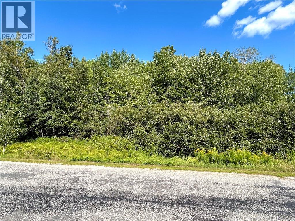64 Ch. Lebranche, Baie-Sainte-Anne, New Brunswick  E9A 1M4 - Photo 20 - NB146001