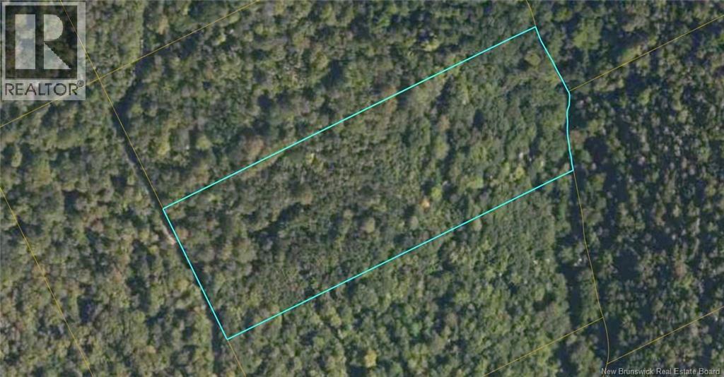 Lot 2 Mcdoo Road, Springfield, New Brunswick  E5T 2K5 - Photo 2 - NB146023