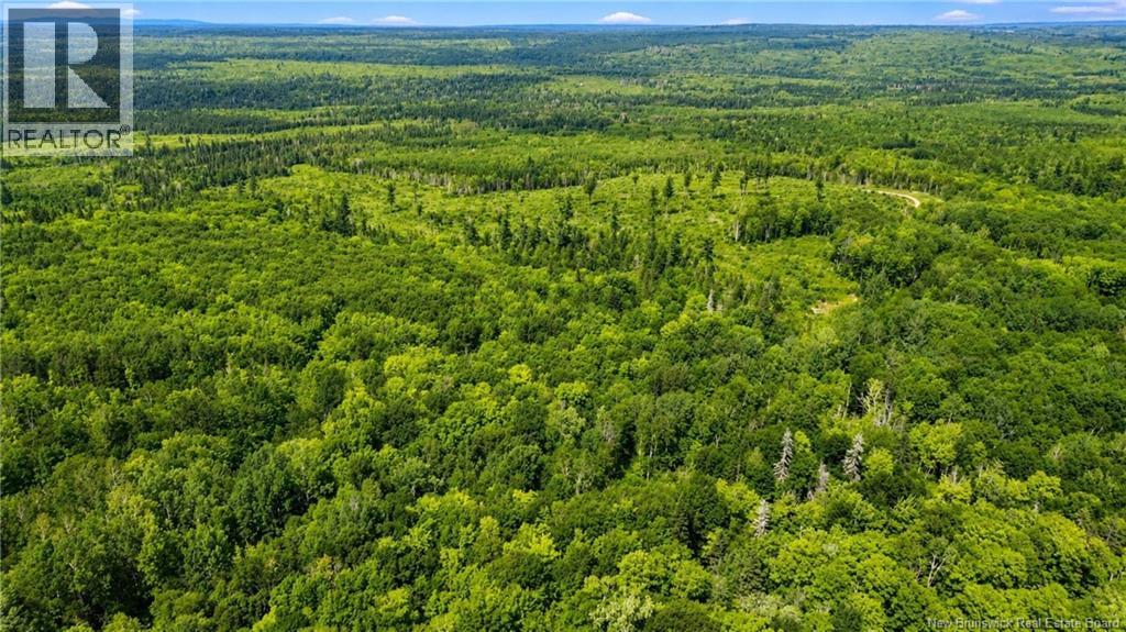 Lot & Camp Forest Motor Road, Sormany, New Brunswick  E2E 2E2 - Photo 20 - NB145903