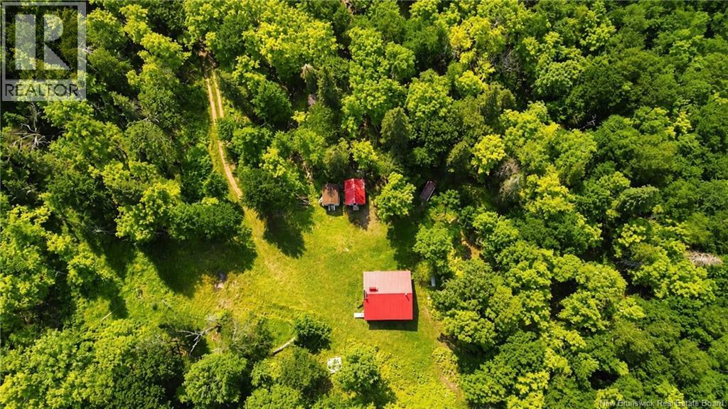 Lot & Camp Forest Motor Road, Sormany, New Brunswick  E2E 2E2 - Photo 27 - NB145903