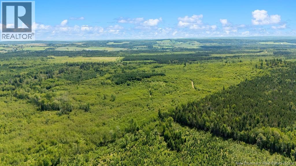 62 Lewiston Road, Cornhill, New Brunswick  E4Z 5H7 - Photo 10 - NB146189