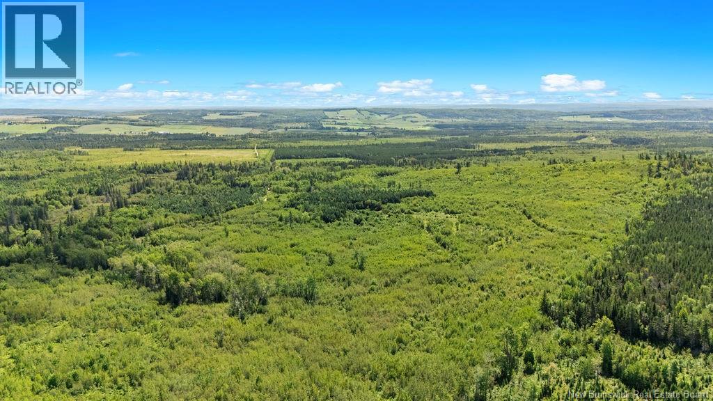 62 Lewiston Road, Cornhill, New Brunswick  E4Z 5H7 - Photo 12 - NB146189