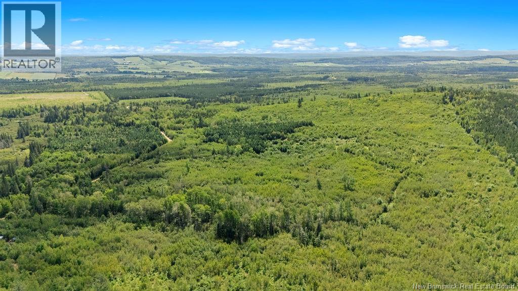 62 Lewiston Road, Cornhill, New Brunswick  E4Z 5H7 - Photo 13 - NB146189